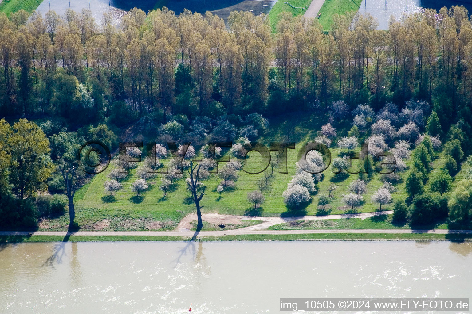 Vue aérienne de Bord du Rhin à le quartier Knielingen in Karlsruhe dans le département Bade-Wurtemberg, Allemagne