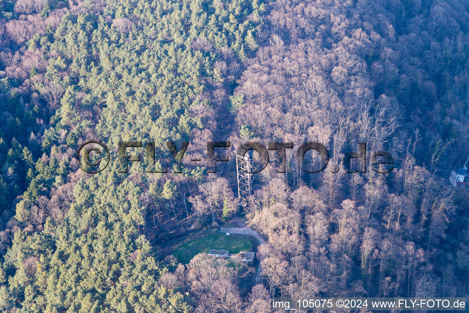 Bad Bergzabern dans le département Rhénanie-Palatinat, Allemagne depuis l'avion