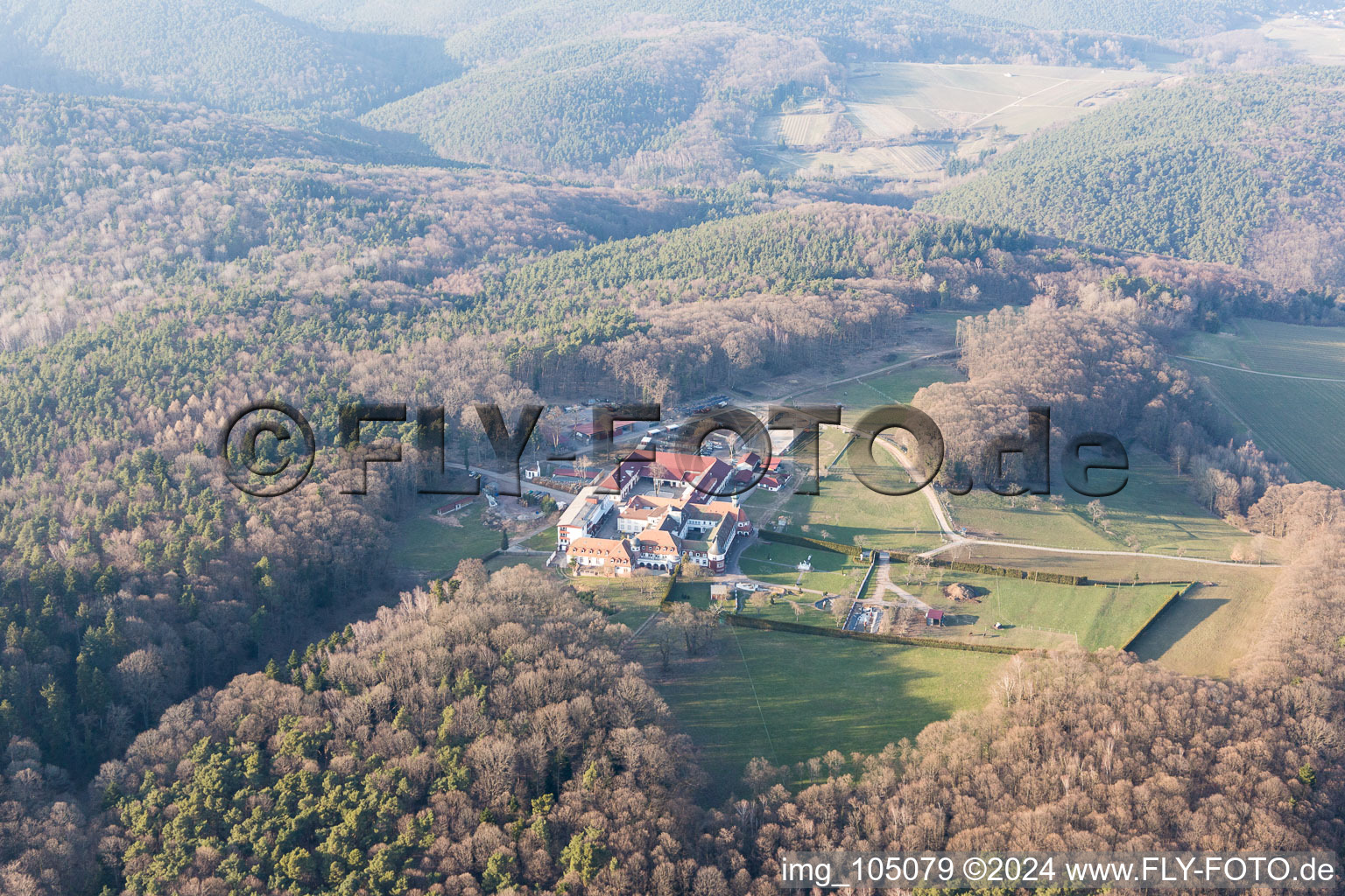 Bad Bergzabern dans le département Rhénanie-Palatinat, Allemagne vue du ciel