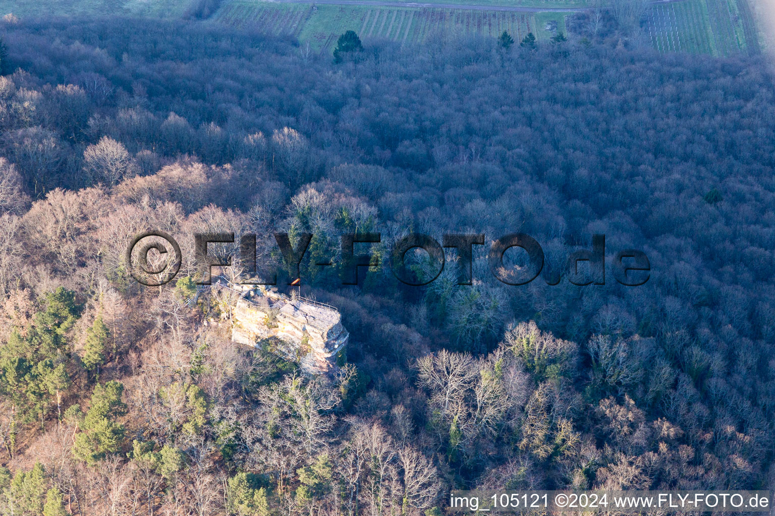 Vue aérienne de Leinsweiler dans le département Rhénanie-Palatinat, Allemagne