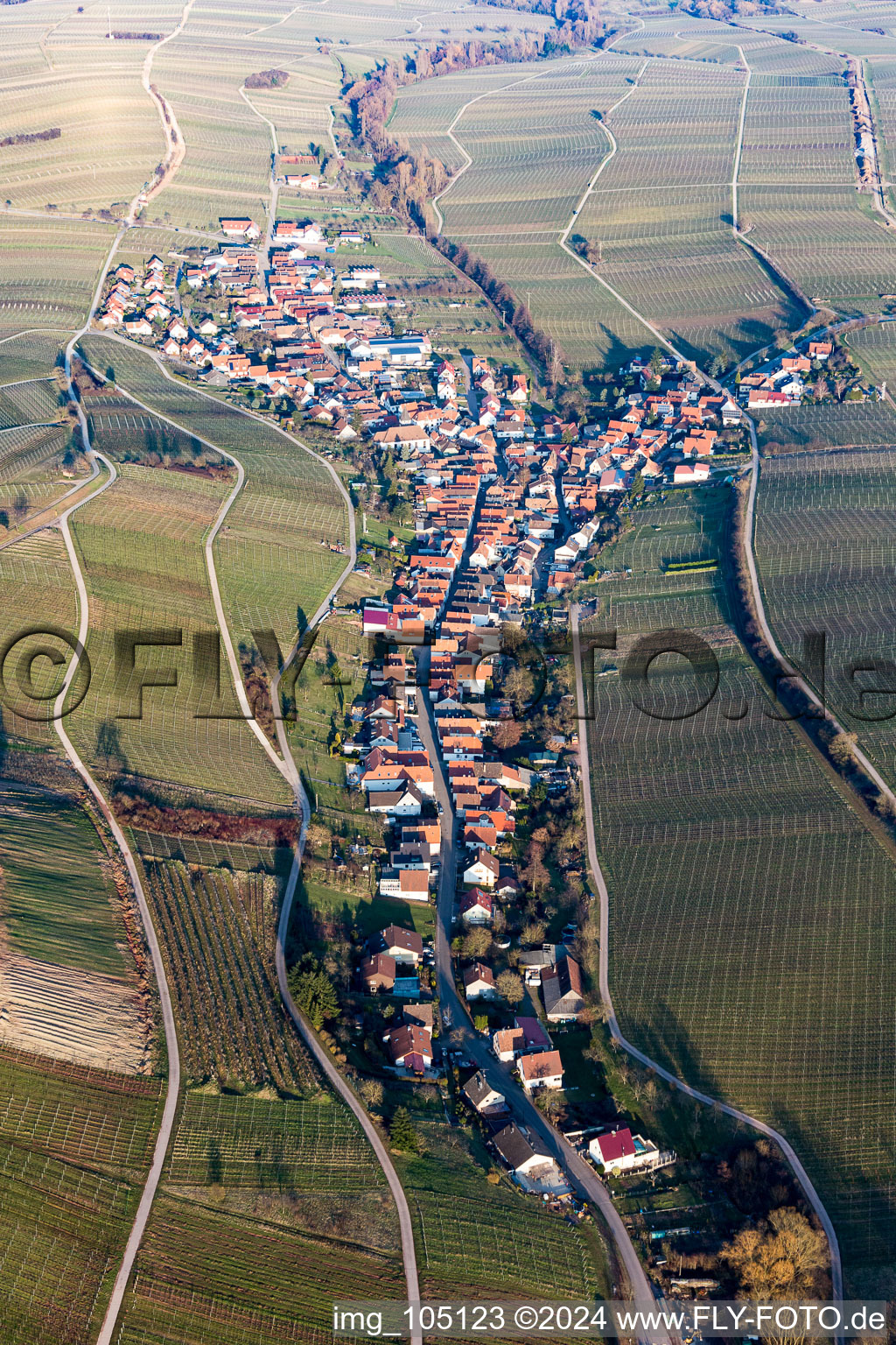 Ranschbach dans le département Rhénanie-Palatinat, Allemagne vue du ciel