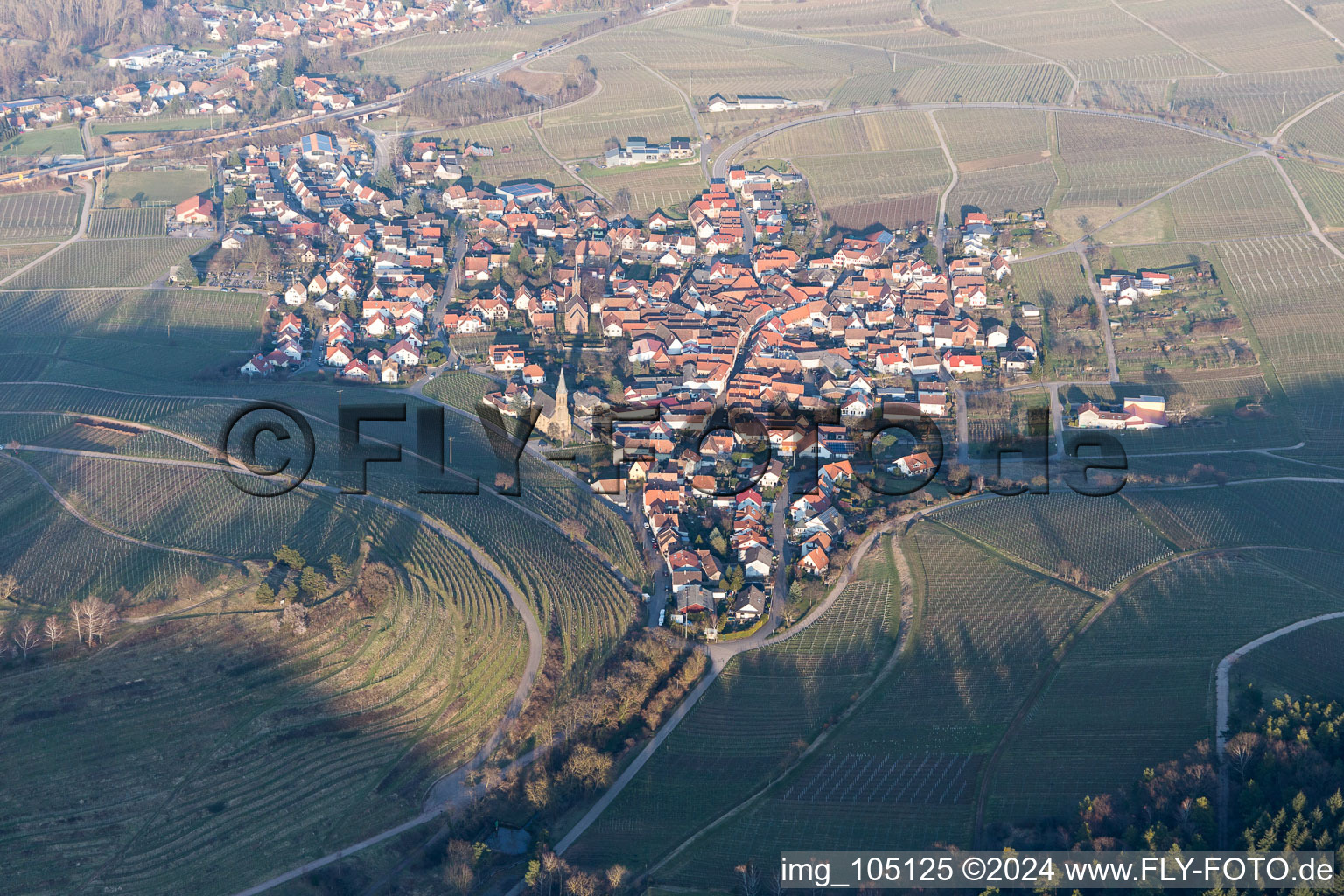 Vue d'oiseau de Birkweiler dans le département Rhénanie-Palatinat, Allemagne