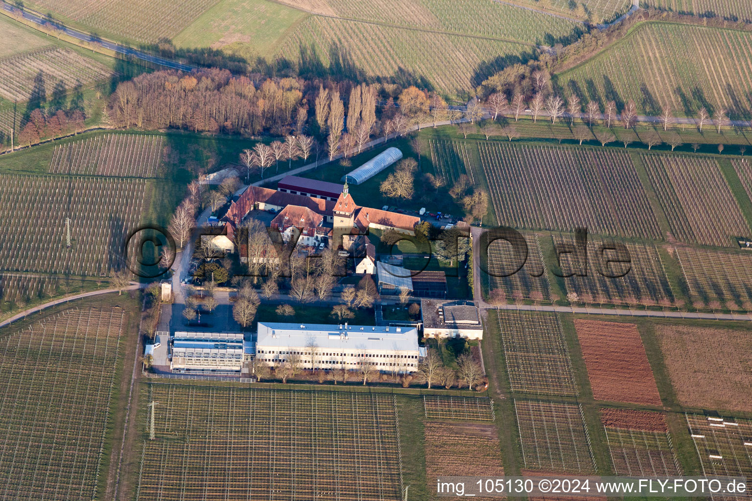 Vue aérienne de Geilweilerhof à Siebeldingen dans le département Rhénanie-Palatinat, Allemagne