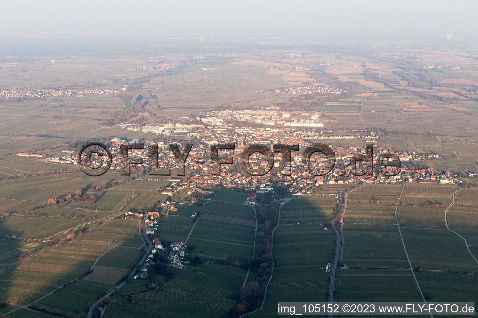 Vue aérienne de Edenkoben dans le département Rhénanie-Palatinat, Allemagne