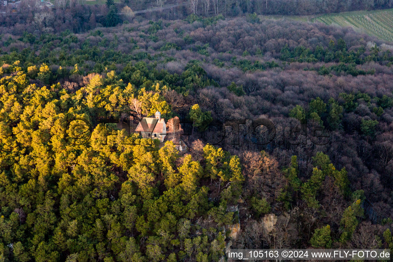 Image drone de Sankt Martin dans le département Rhénanie-Palatinat, Allemagne