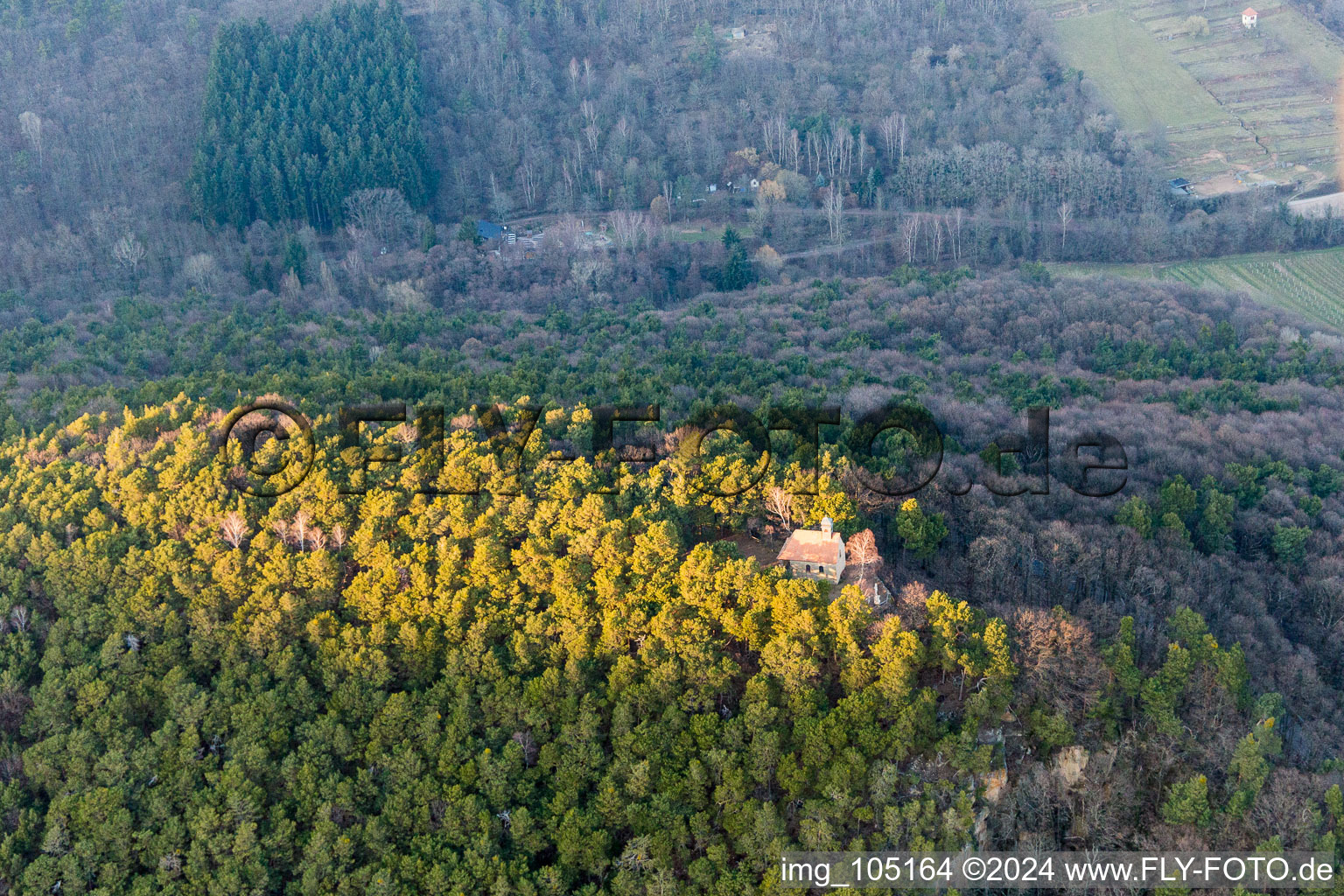 Sankt Martin dans le département Rhénanie-Palatinat, Allemagne du point de vue du drone