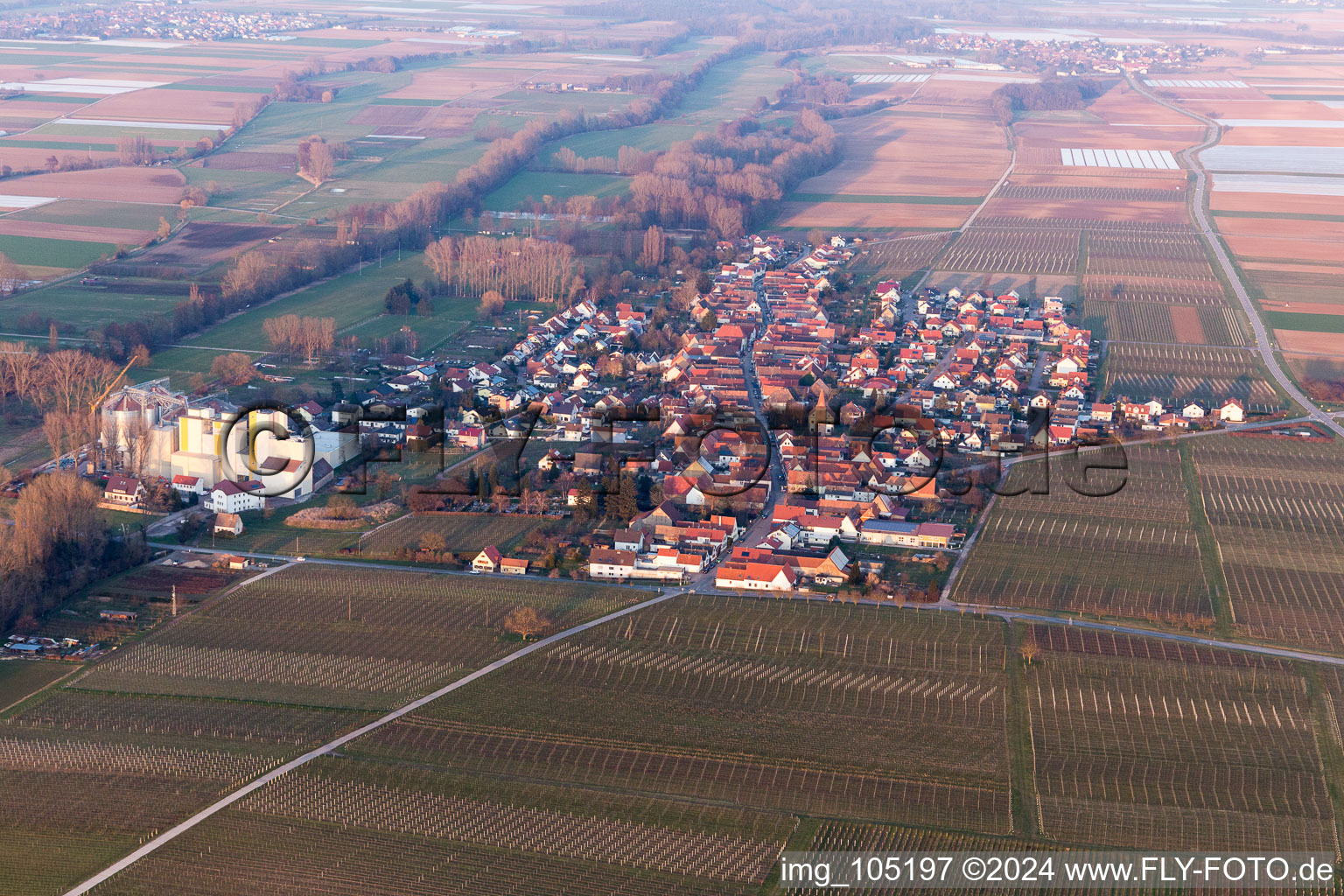 Freimersheim dans le département Rhénanie-Palatinat, Allemagne depuis l'avion