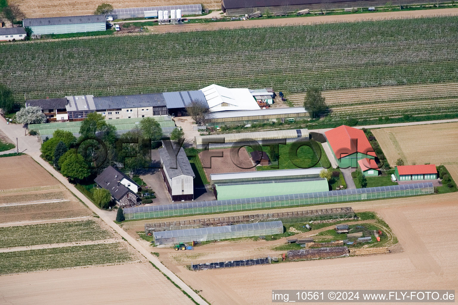 Vue aérienne de Ferme fruitière Zapf à Kandel dans le département Rhénanie-Palatinat, Allemagne