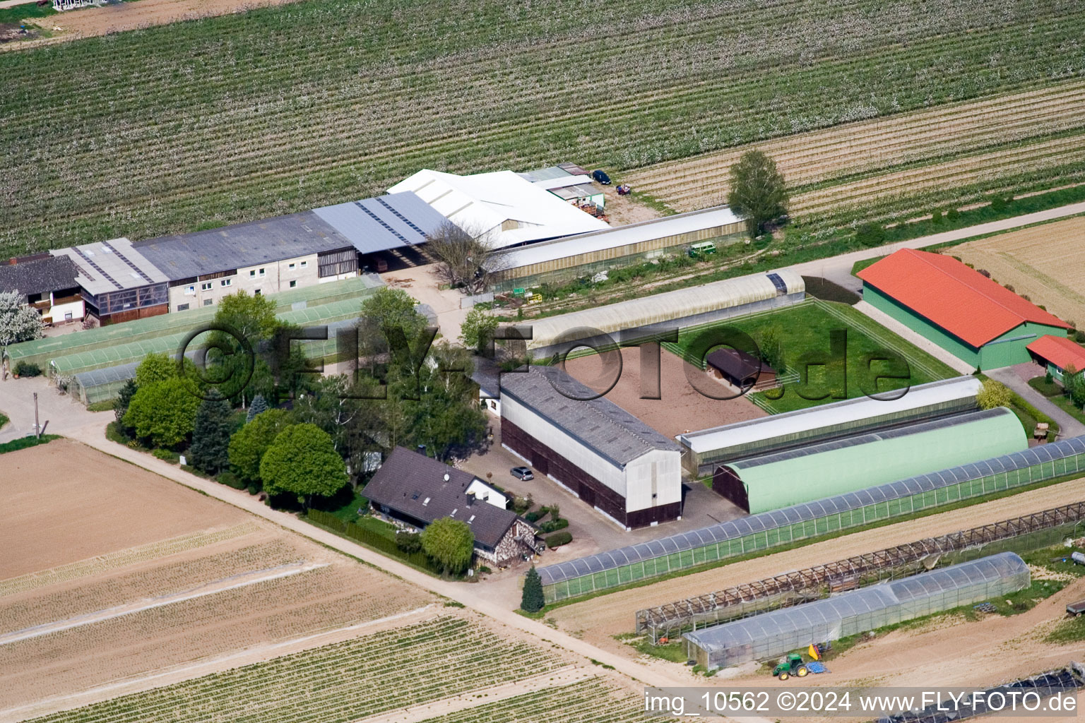 Photographie aérienne de Ferme fruitière Zapf à Kandel dans le département Rhénanie-Palatinat, Allemagne