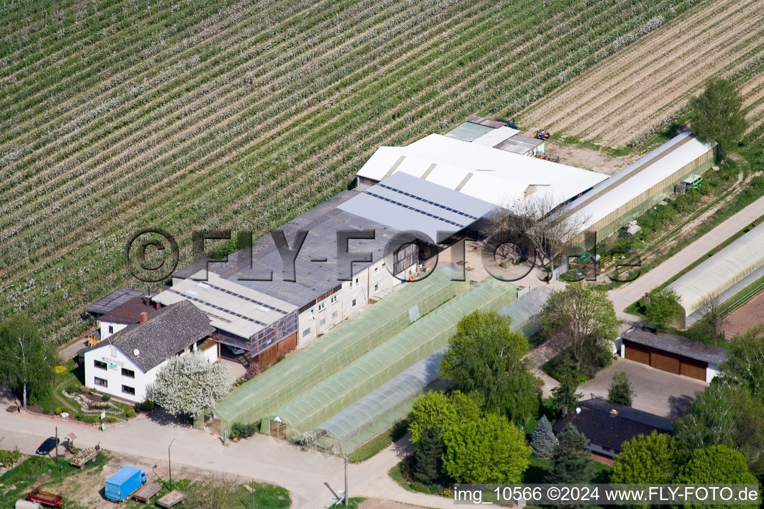 Vue oblique de Ferme fruitière Zapf à Kandel dans le département Rhénanie-Palatinat, Allemagne