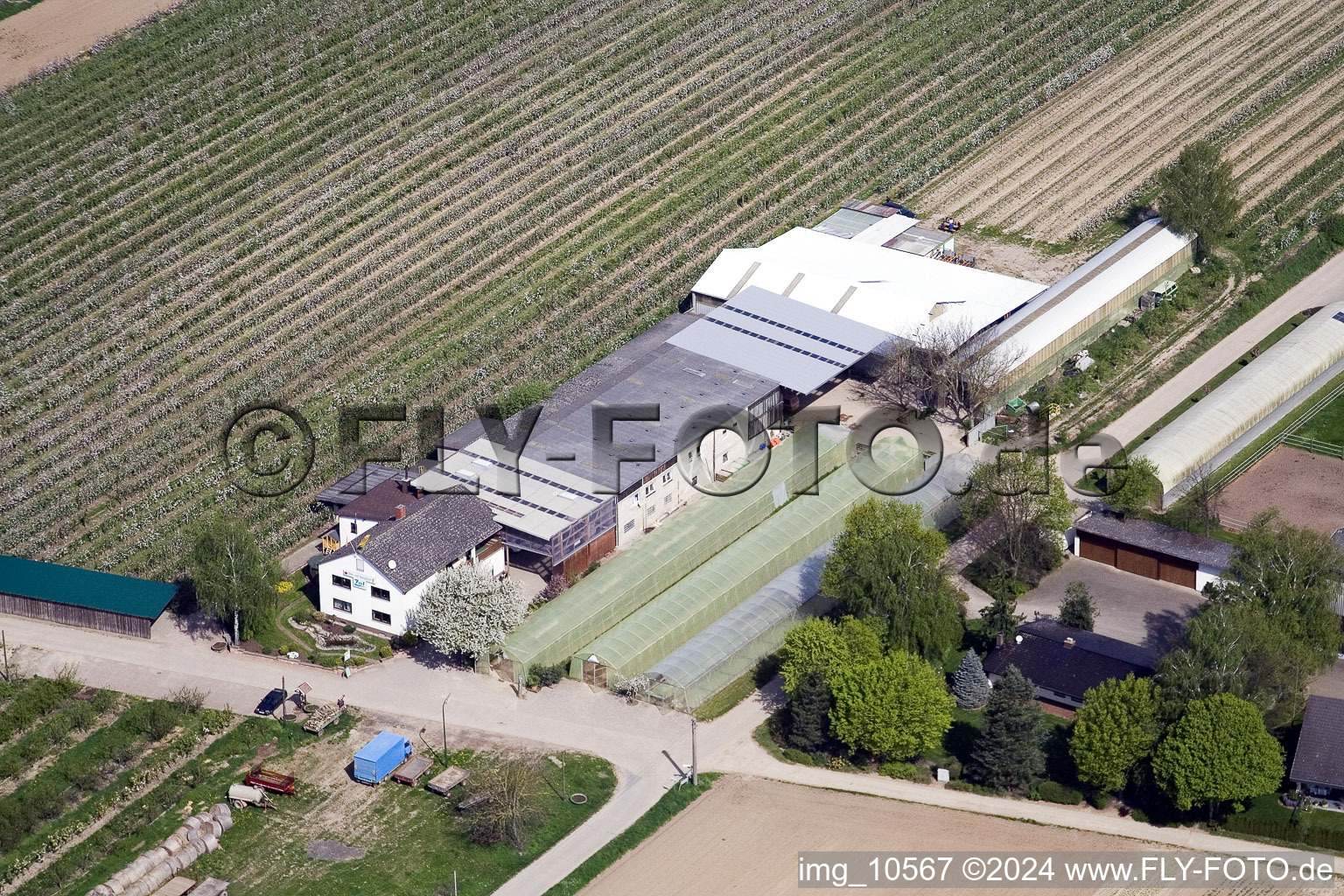 Ferme fruitière Zapf à Kandel dans le département Rhénanie-Palatinat, Allemagne d'en haut