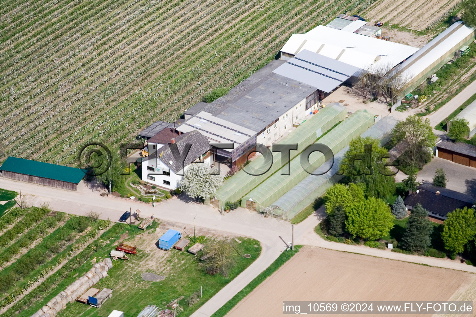 Vue aérienne de Propriété d'une ferme de fruits et d'asperges Zapf Hofmarkt à Kandel dans le département Rhénanie-Palatinat, Allemagne