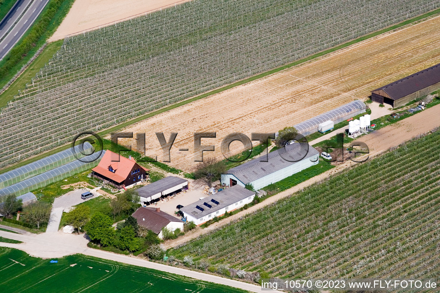 Ferme fruitière Zapf à Kandel dans le département Rhénanie-Palatinat, Allemagne hors des airs