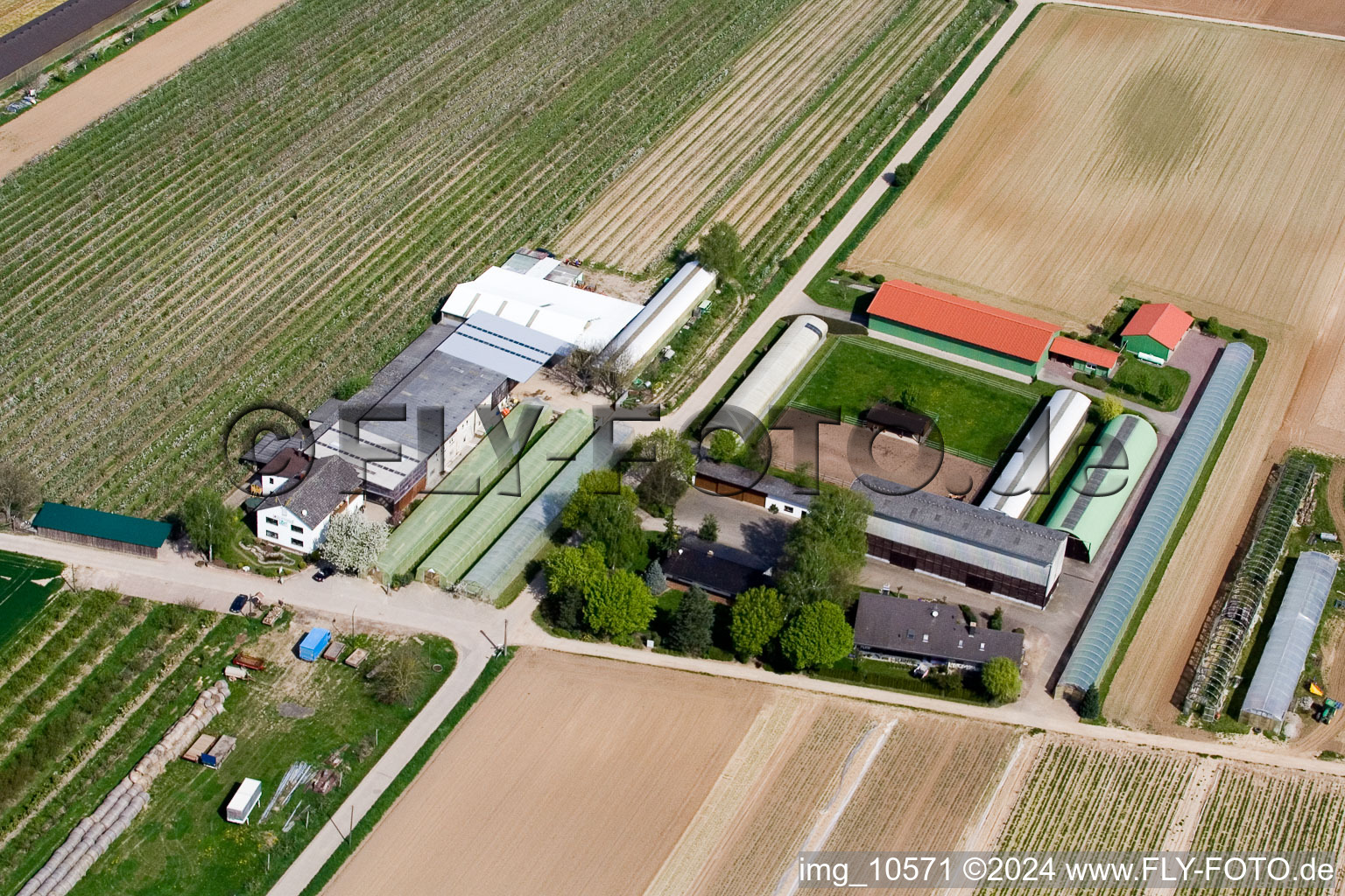 Ferme fruitière Zapf à Kandel dans le département Rhénanie-Palatinat, Allemagne vue d'en haut