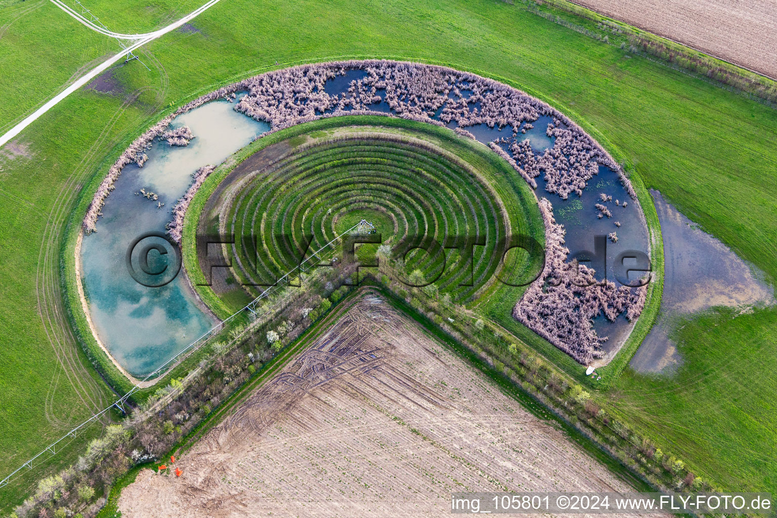 Vue aérienne de Arceaux circulaires d'un système d'irrigation à pivot sur biotopes et champs agricoles à Pavia di Udine dans le département Udine, Italie