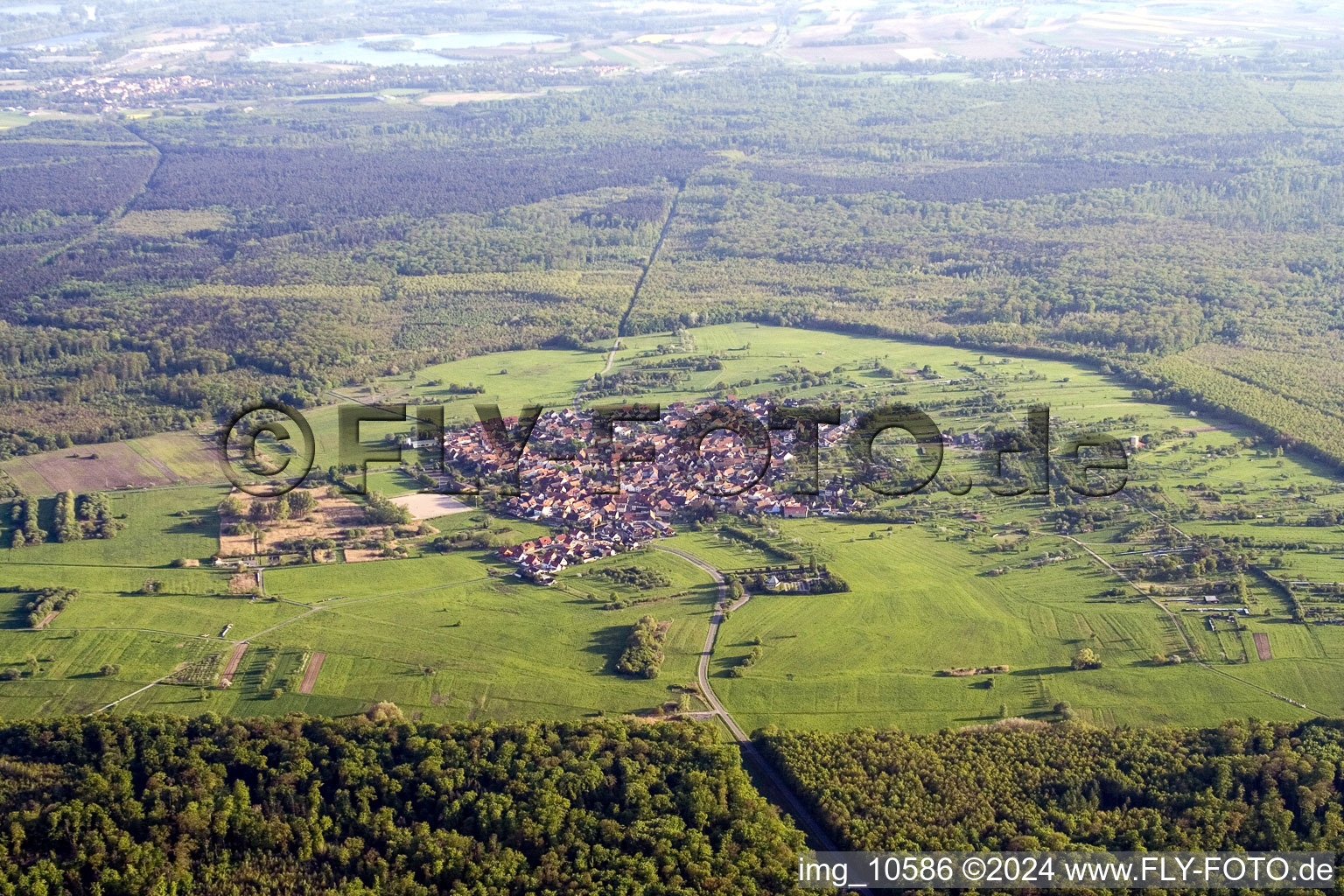 Vue aérienne de Champs agricoles et surfaces utilisables à le quartier Büchelberg in Wörth am Rhein dans le département Rhénanie-Palatinat, Allemagne