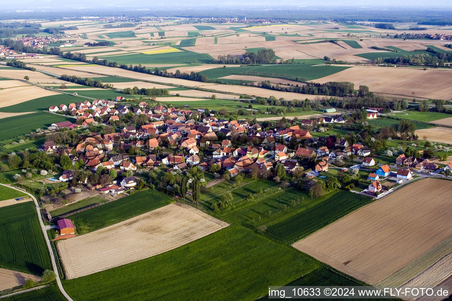 Vue aérienne de Champs agricoles et surfaces utilisables à Hoffen dans le département Bas Rhin, France