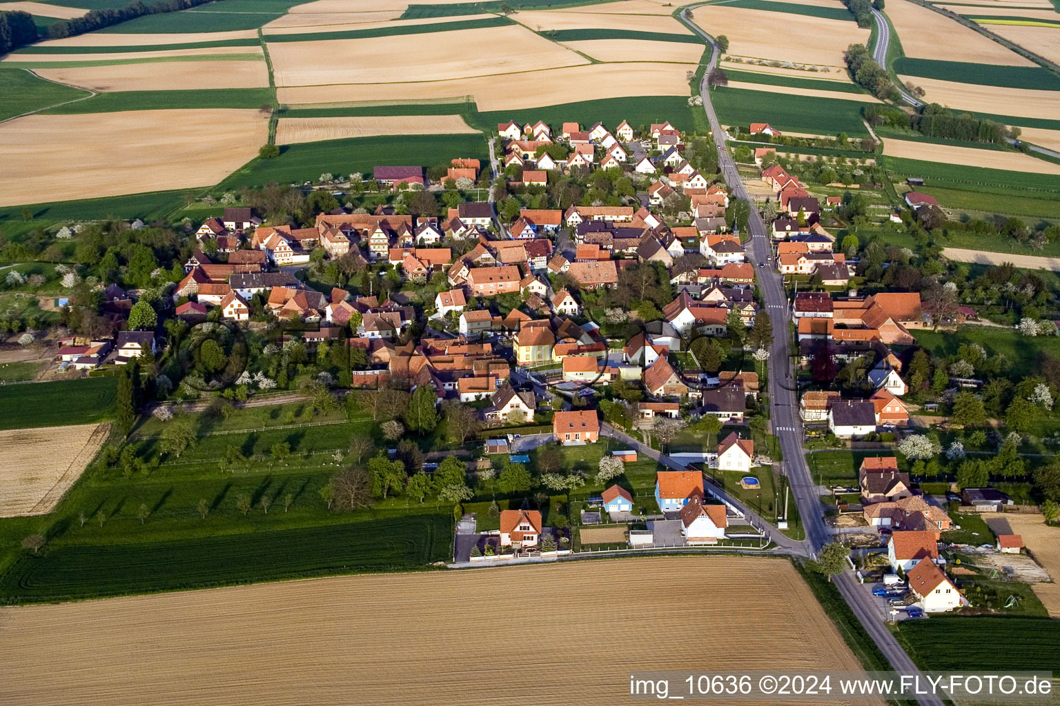 Photographie aérienne de Champs agricoles et surfaces utilisables à Hoffen dans le département Bas Rhin, France