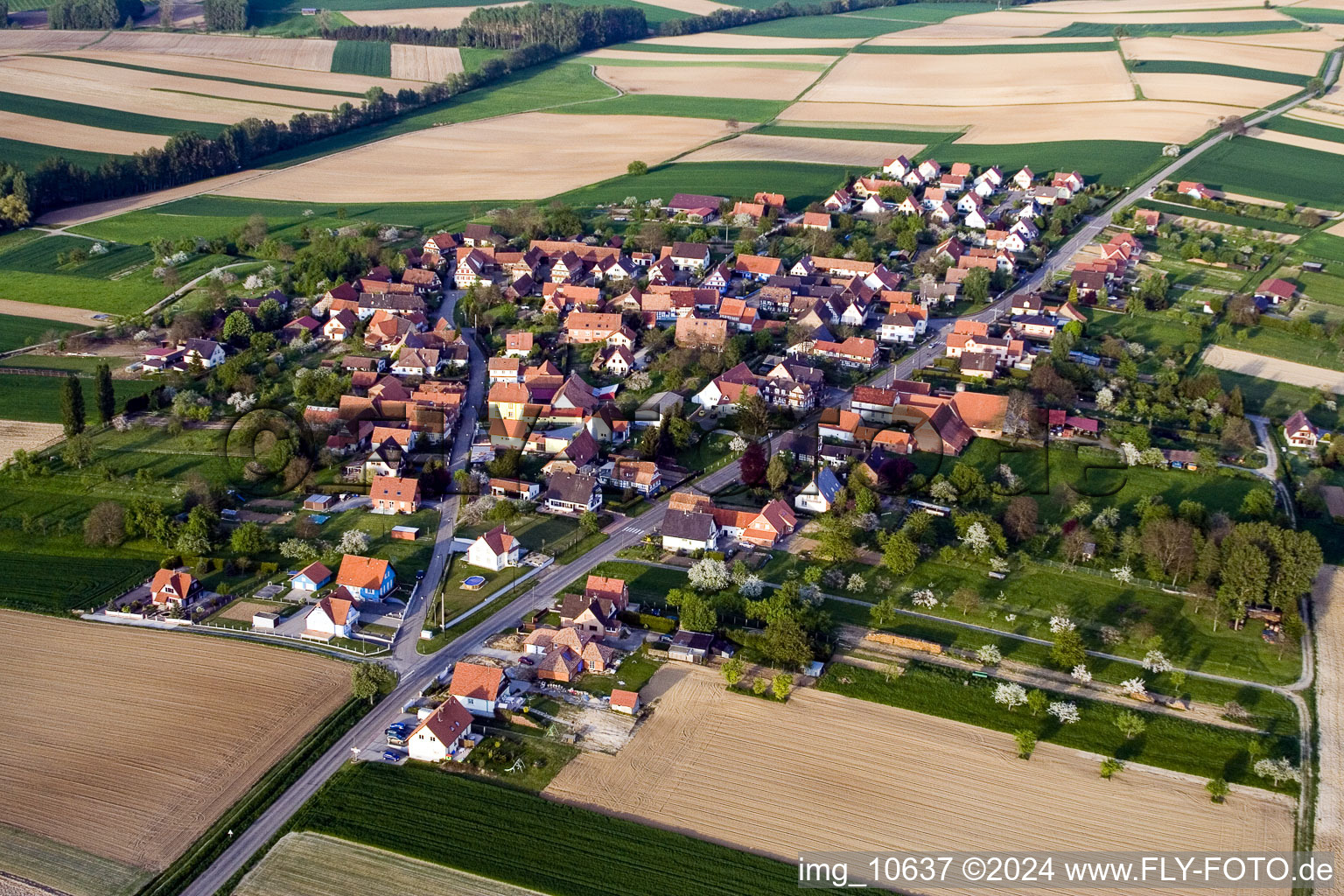 Vue oblique de Champs agricoles et surfaces utilisables à Hoffen dans le département Bas Rhin, France