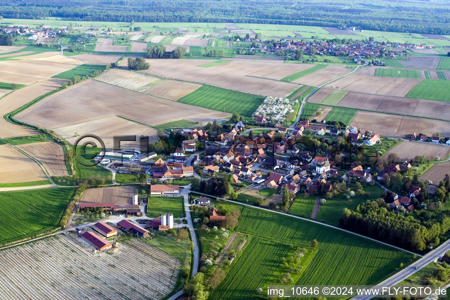 Photographie aérienne de Reimerswiller dans le département Bas Rhin, France