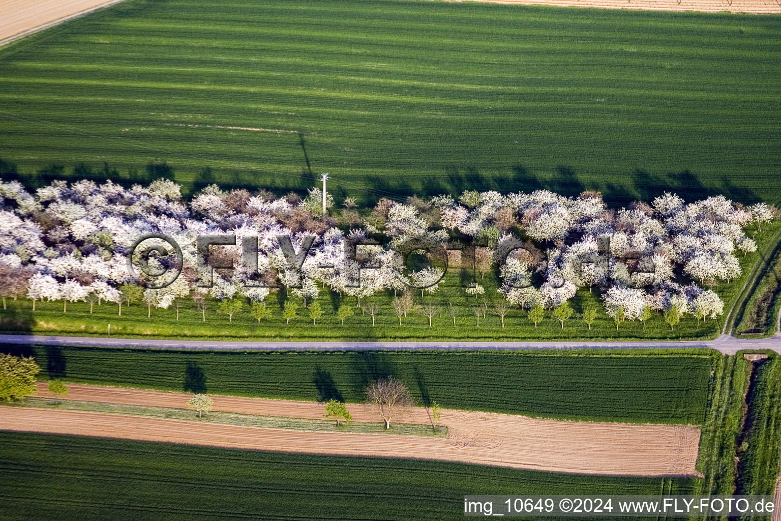 Reimerswiller dans le département Bas Rhin, France d'en haut