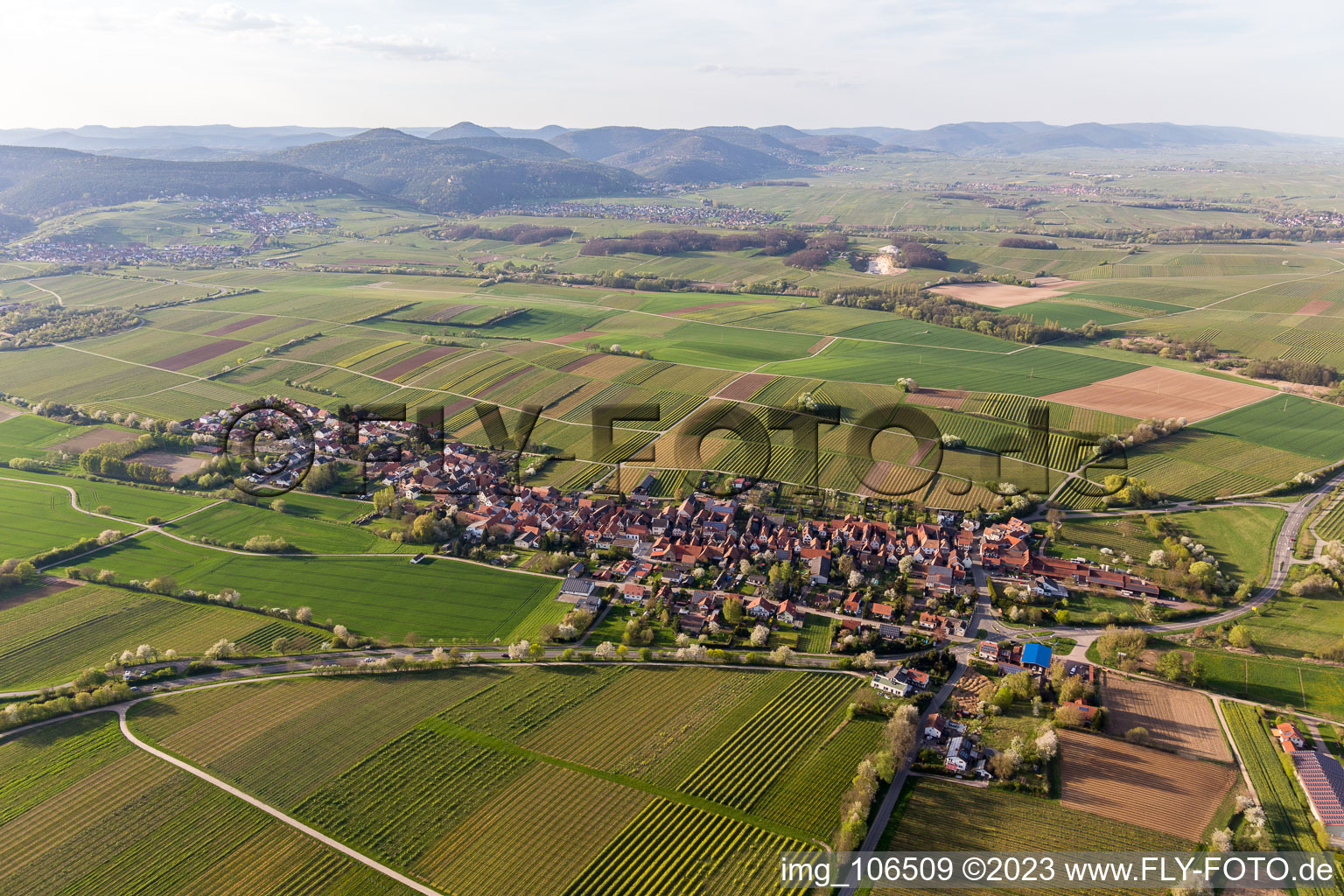 Niederhorbach dans le département Rhénanie-Palatinat, Allemagne vue d'en haut