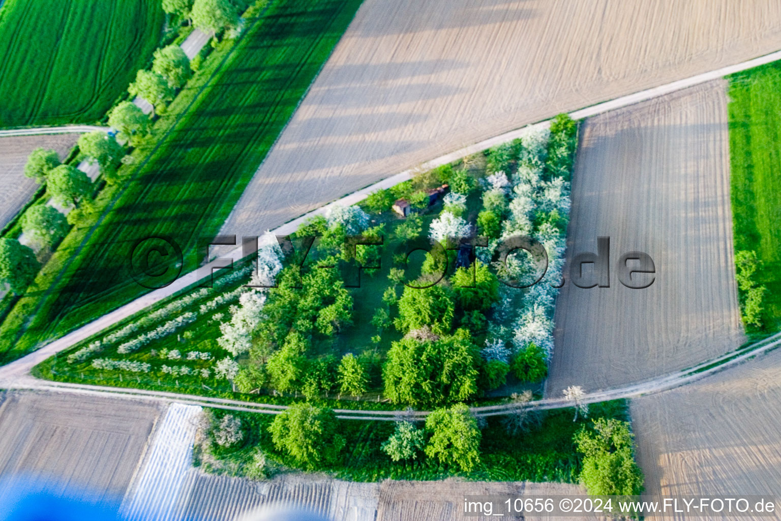 Surbourg dans le département Bas Rhin, France d'un drone