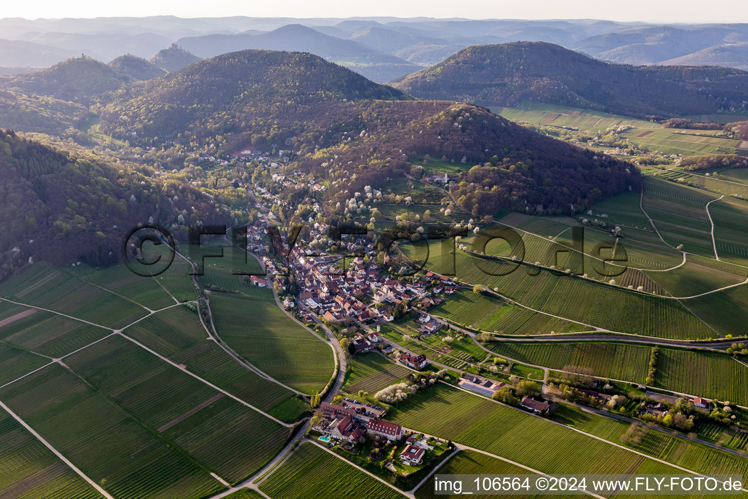 Photographie aérienne de Leinsweiler dans le département Rhénanie-Palatinat, Allemagne