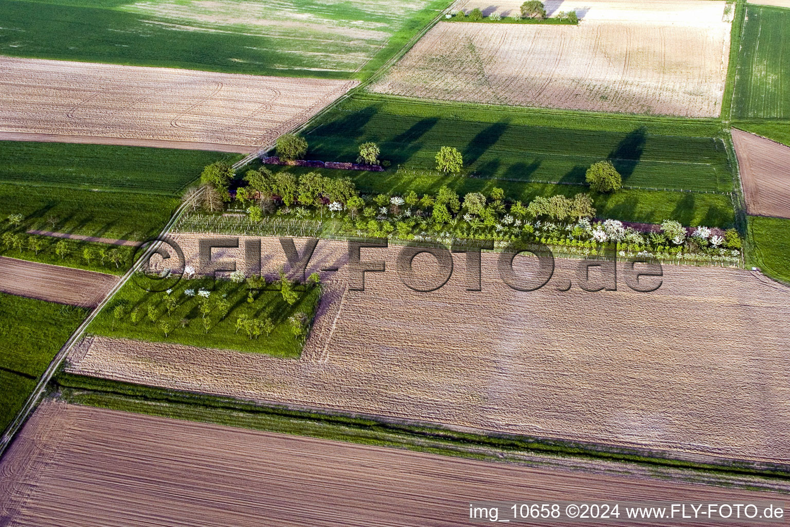 Vue aérienne de Surbourg dans le département Bas Rhin, France