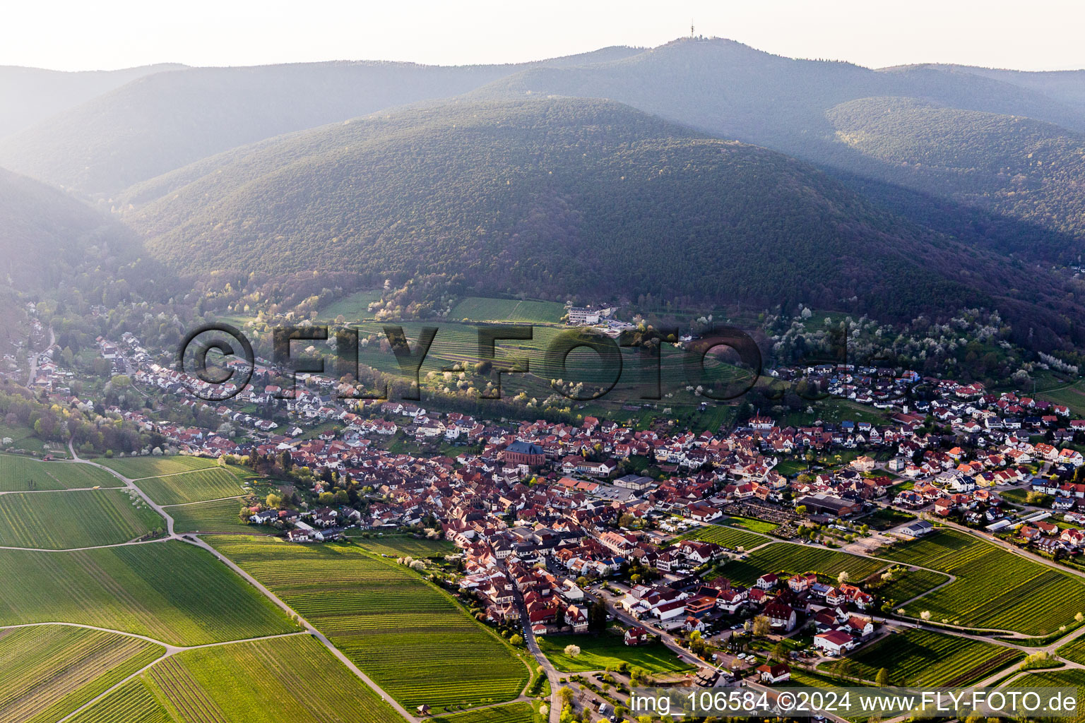 Vue oblique de Saint-Martin à Sankt Martin dans le département Rhénanie-Palatinat, Allemagne