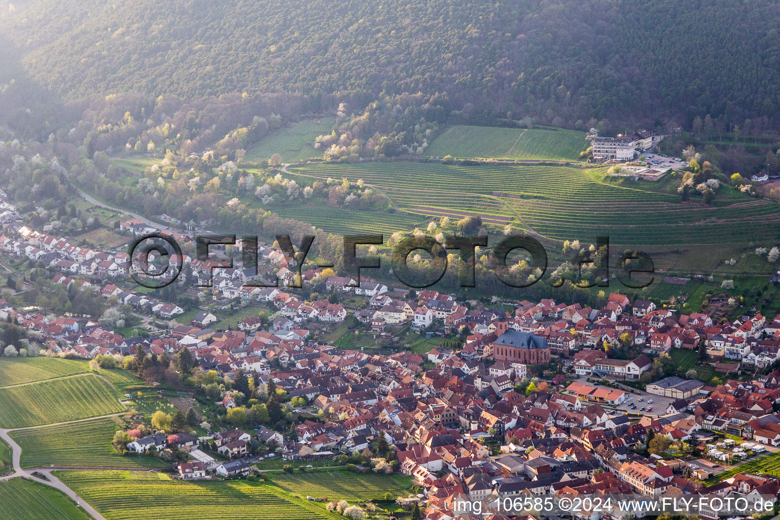 Saint-Martin à Sankt Martin dans le département Rhénanie-Palatinat, Allemagne d'en haut