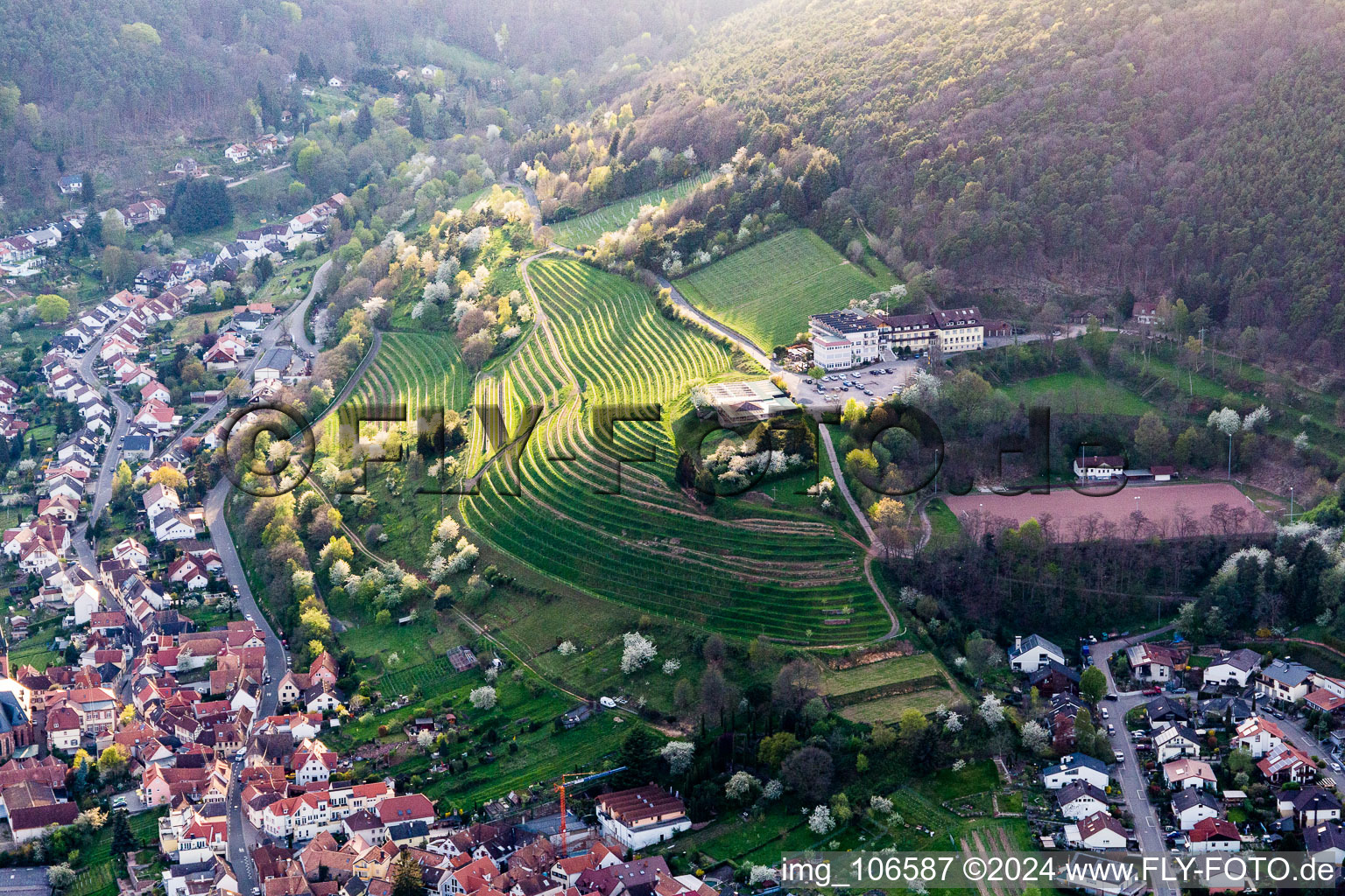 Vue aérienne de Saint-Martin, château de Kropsburg à le quartier SaintMartin in Sankt Martin dans le département Rhénanie-Palatinat, Allemagne