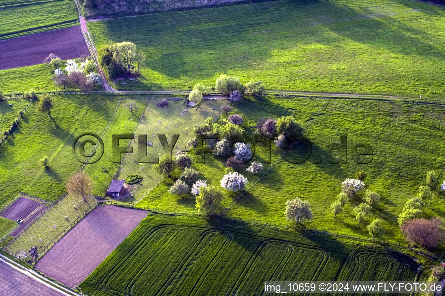 Photographie aérienne de Surbourg dans le département Bas Rhin, France