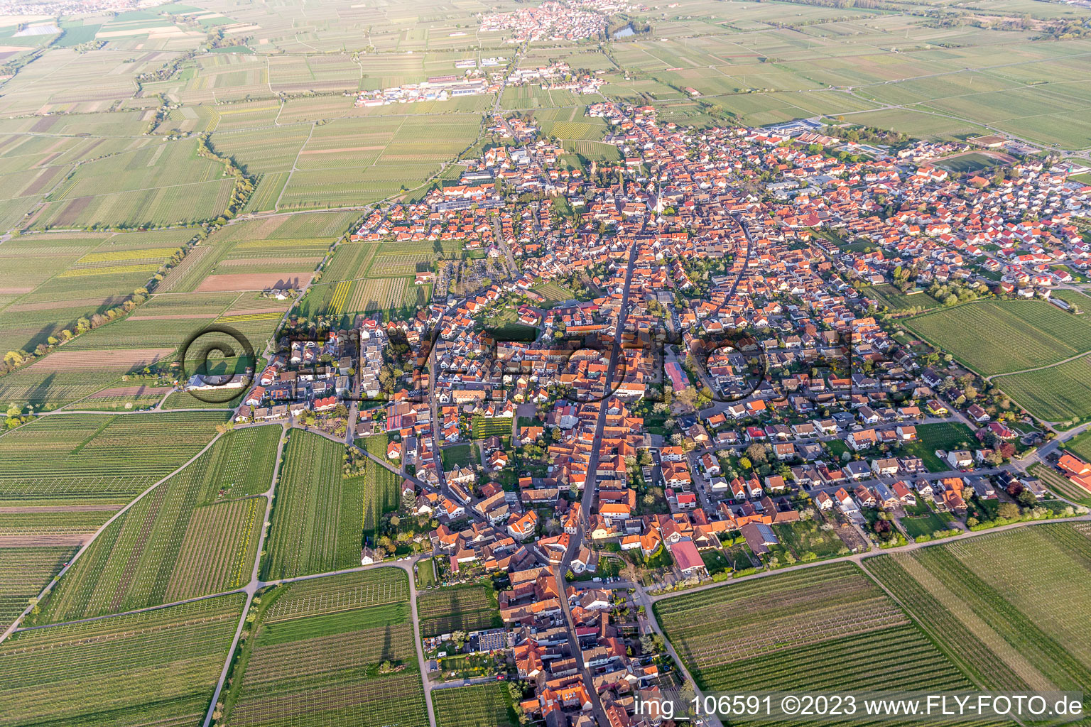 Maikammer dans le département Rhénanie-Palatinat, Allemagne d'un drone