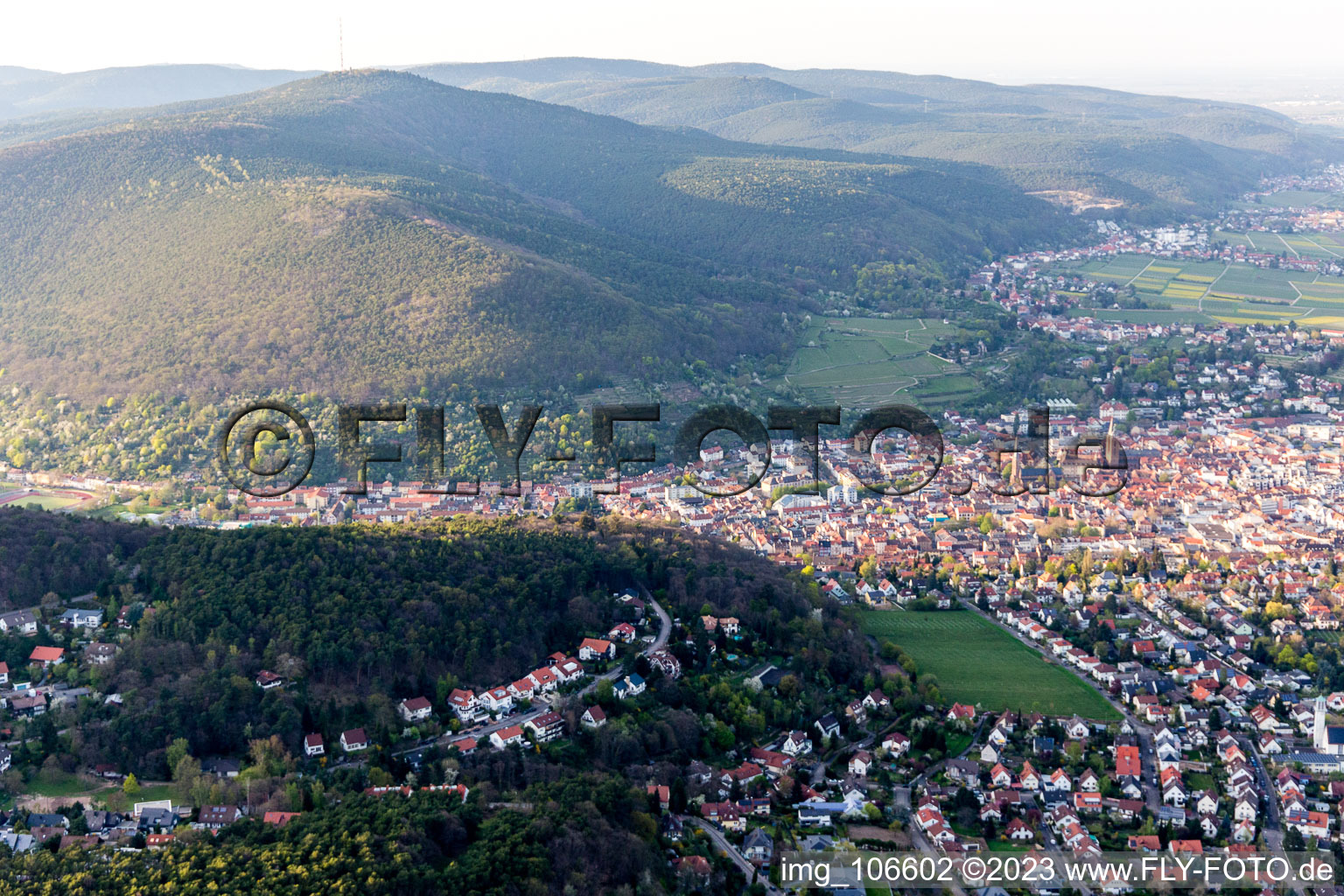 Neustadt an der Weinstraße dans le département Rhénanie-Palatinat, Allemagne vue du ciel