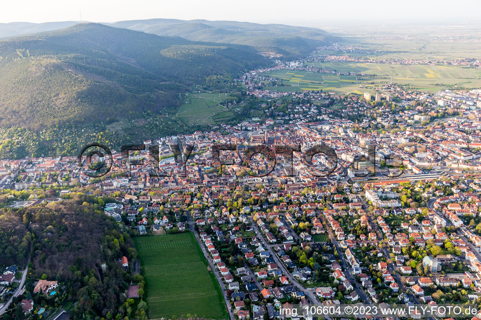 Image drone de Neustadt an der Weinstraße dans le département Rhénanie-Palatinat, Allemagne