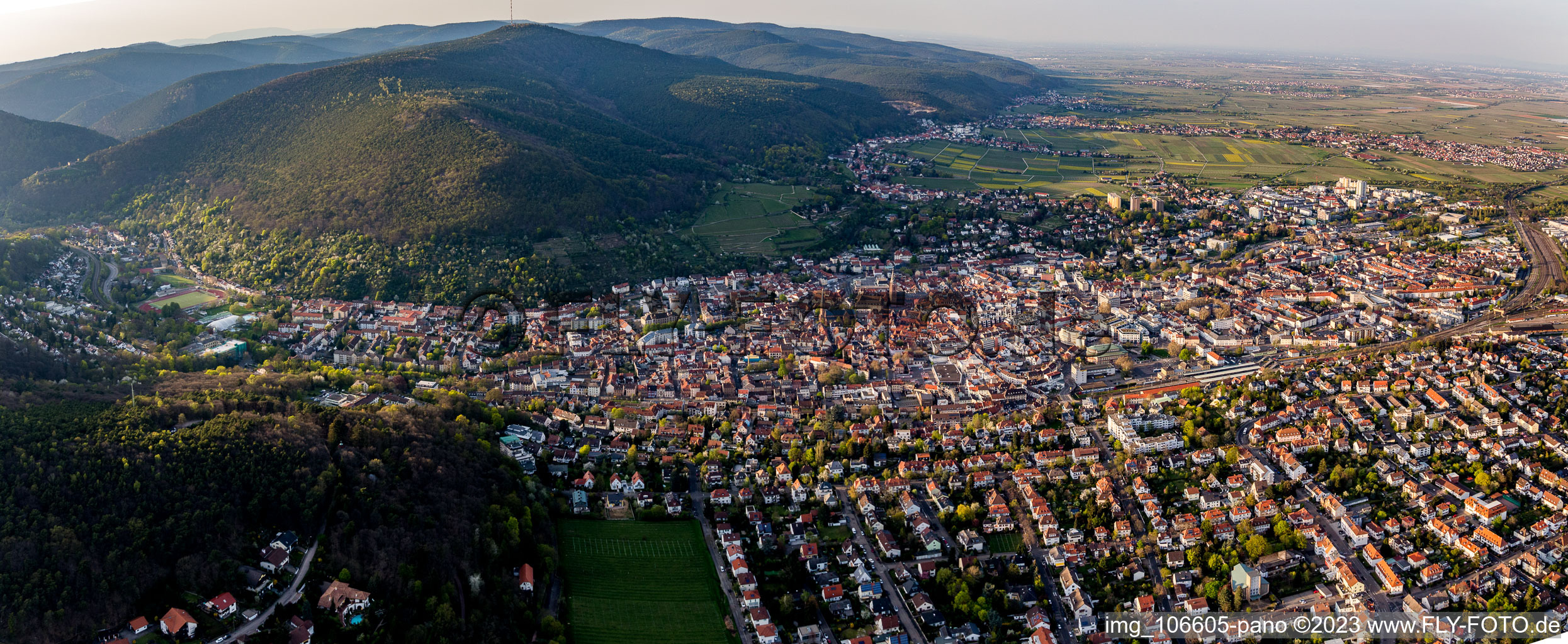 Neustadt an der Weinstraße dans le département Rhénanie-Palatinat, Allemagne du point de vue du drone