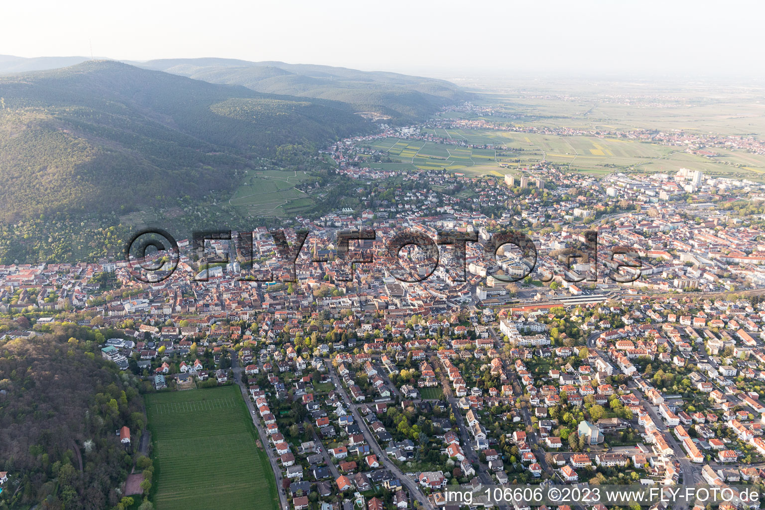 Neustadt an der Weinstraße dans le département Rhénanie-Palatinat, Allemagne vu d'un drone