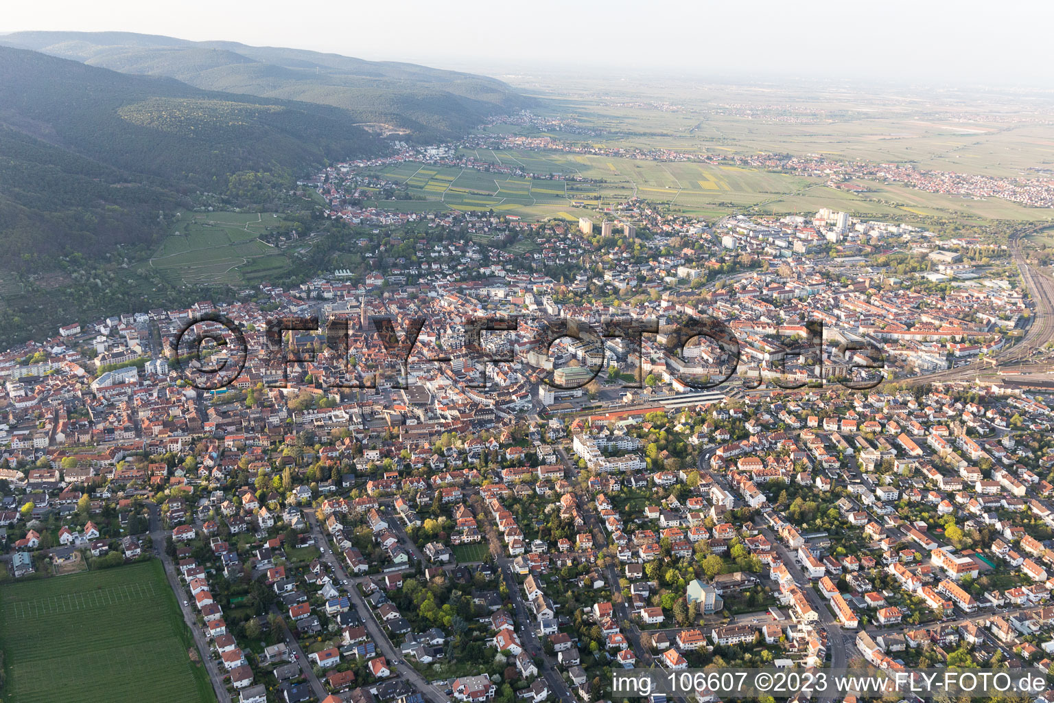 Vue aérienne de Neustadt an der Weinstraße dans le département Rhénanie-Palatinat, Allemagne