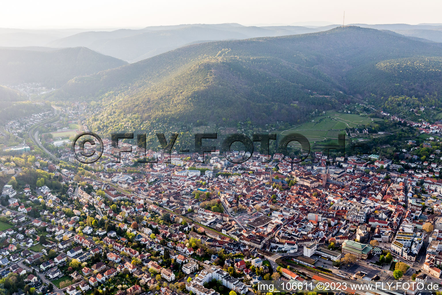 Photographie aérienne de Neustadt an der Weinstraße dans le département Rhénanie-Palatinat, Allemagne