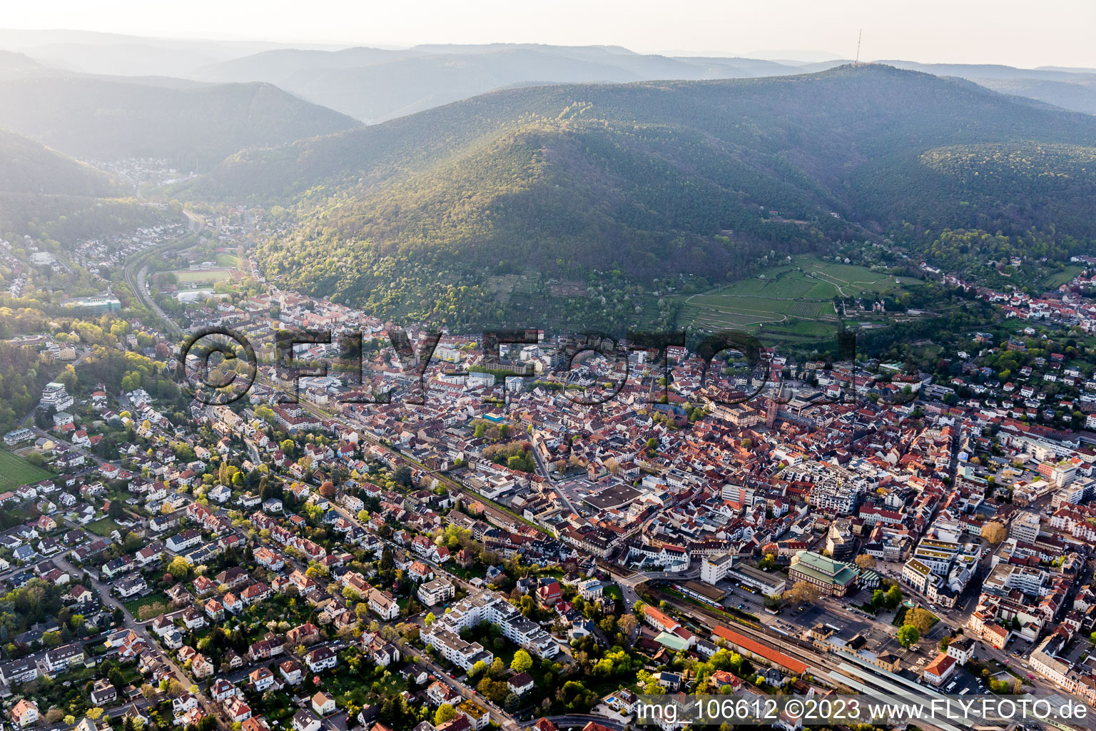 Vue oblique de Neustadt an der Weinstraße dans le département Rhénanie-Palatinat, Allemagne