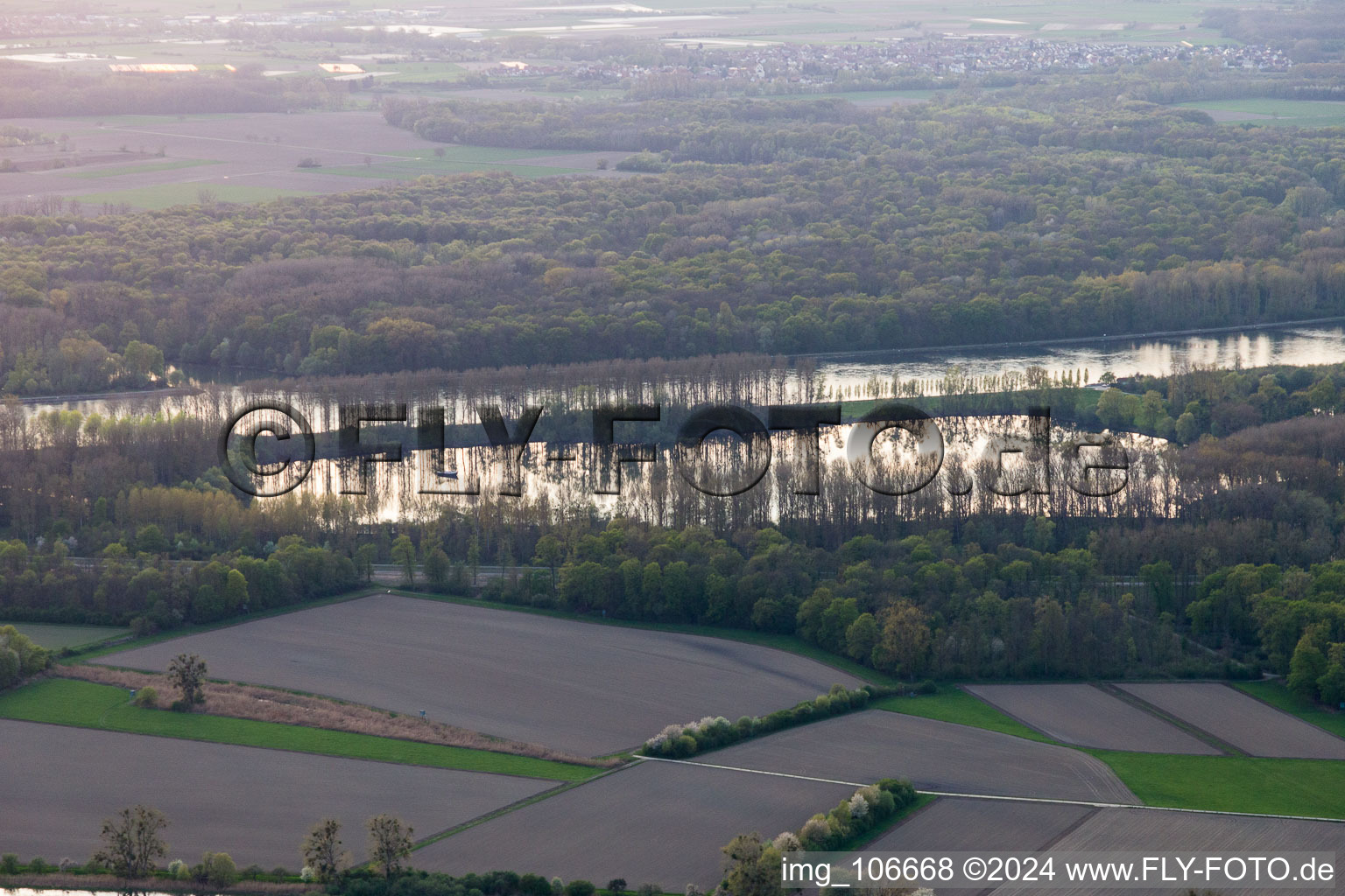 Vue aérienne de Rhin à le quartier Hochstetten in Linkenheim-Hochstetten dans le département Bade-Wurtemberg, Allemagne