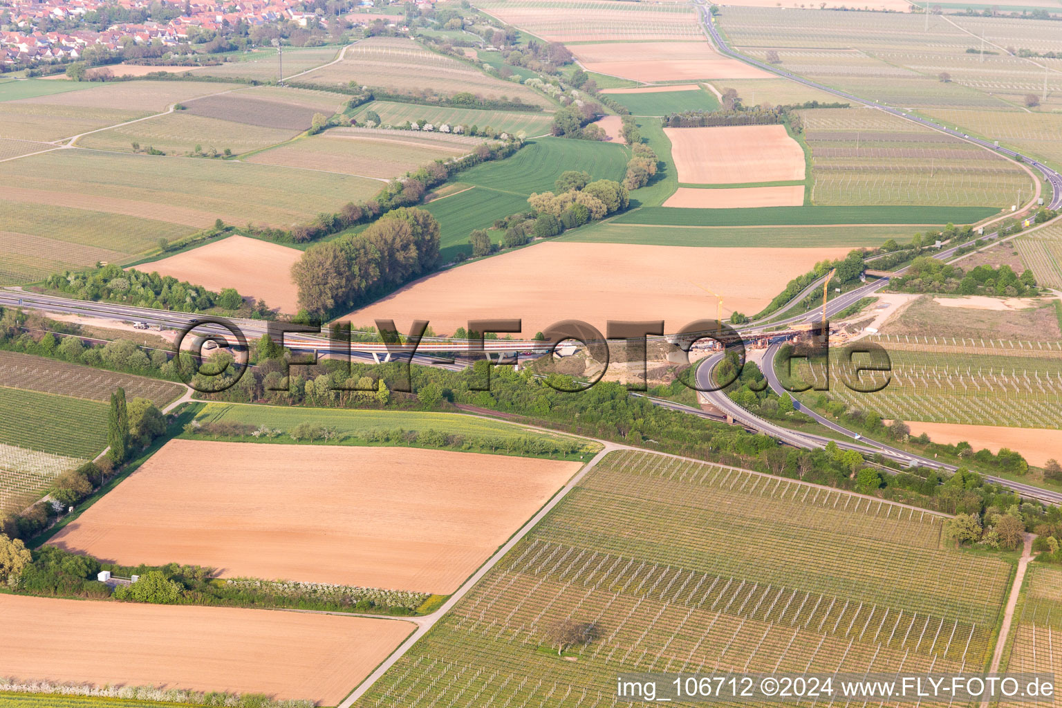 Quartier Dammheim in Landau in der Pfalz dans le département Rhénanie-Palatinat, Allemagne d'en haut