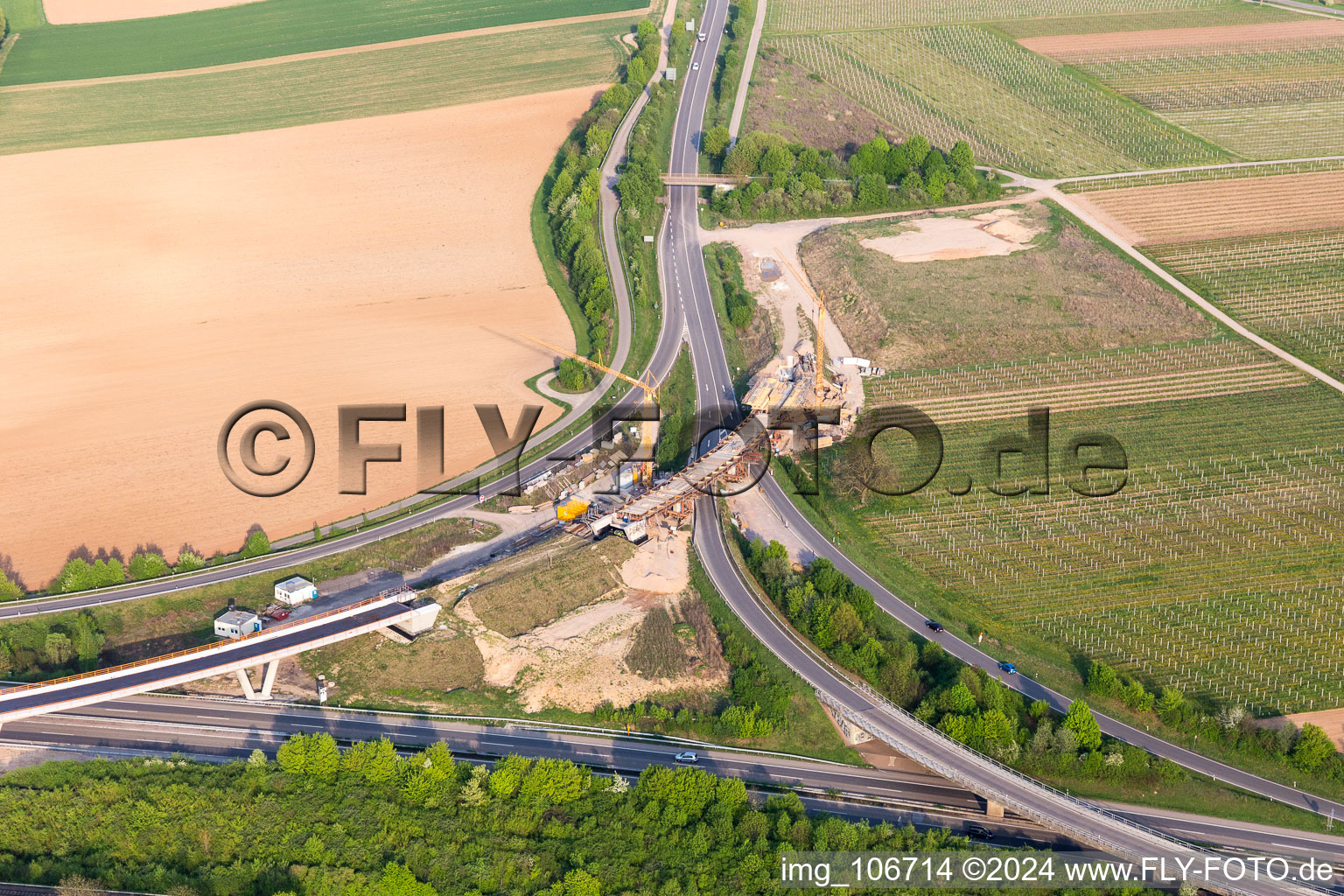 Quartier Dammheim in Landau in der Pfalz dans le département Rhénanie-Palatinat, Allemagne vue d'en haut