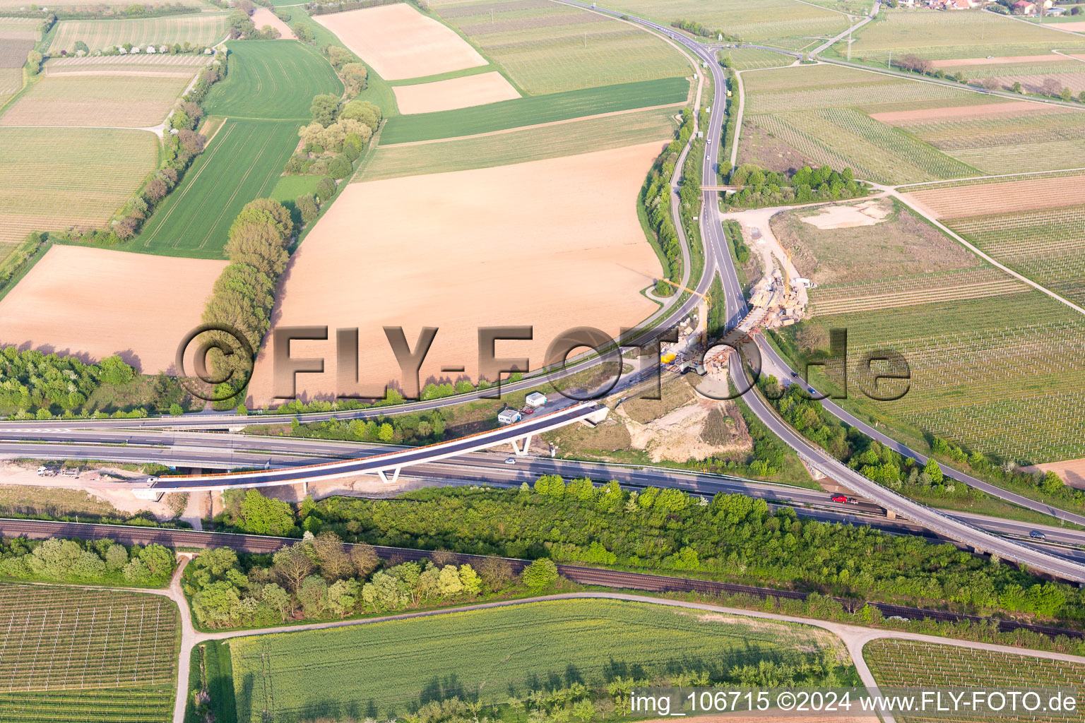 Quartier Dammheim in Landau in der Pfalz dans le département Rhénanie-Palatinat, Allemagne depuis l'avion