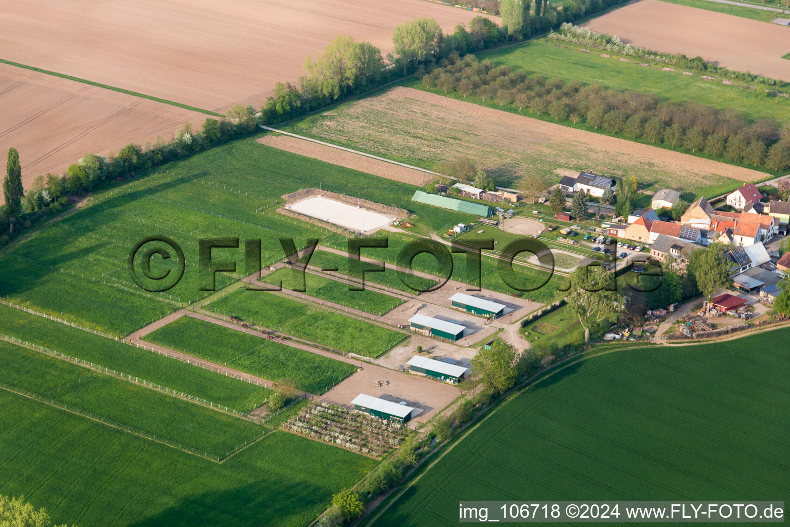 Vue d'oiseau de Großfischlingen dans le département Rhénanie-Palatinat, Allemagne