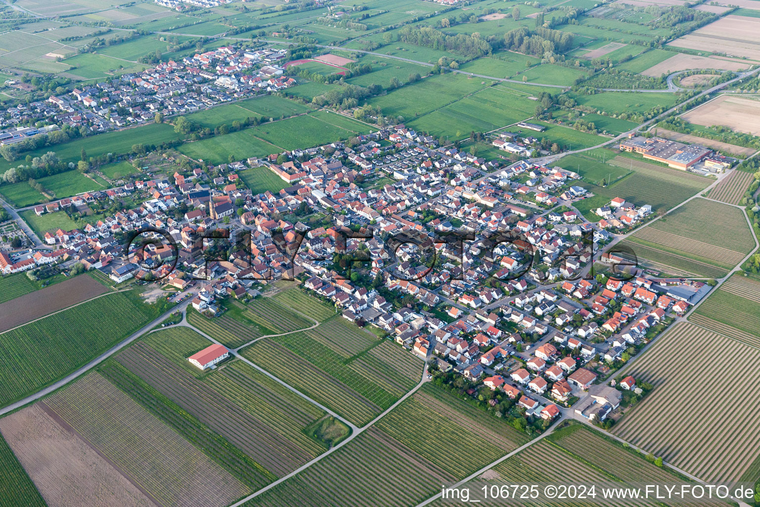 Ruppertsberg dans le département Rhénanie-Palatinat, Allemagne hors des airs