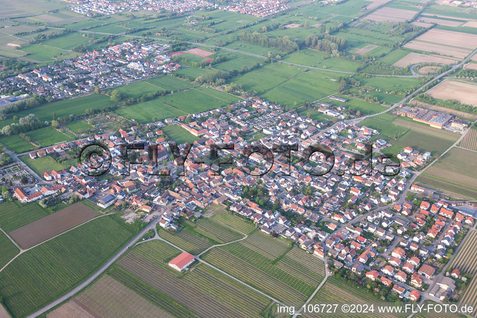 Ruppertsberg dans le département Rhénanie-Palatinat, Allemagne depuis l'avion