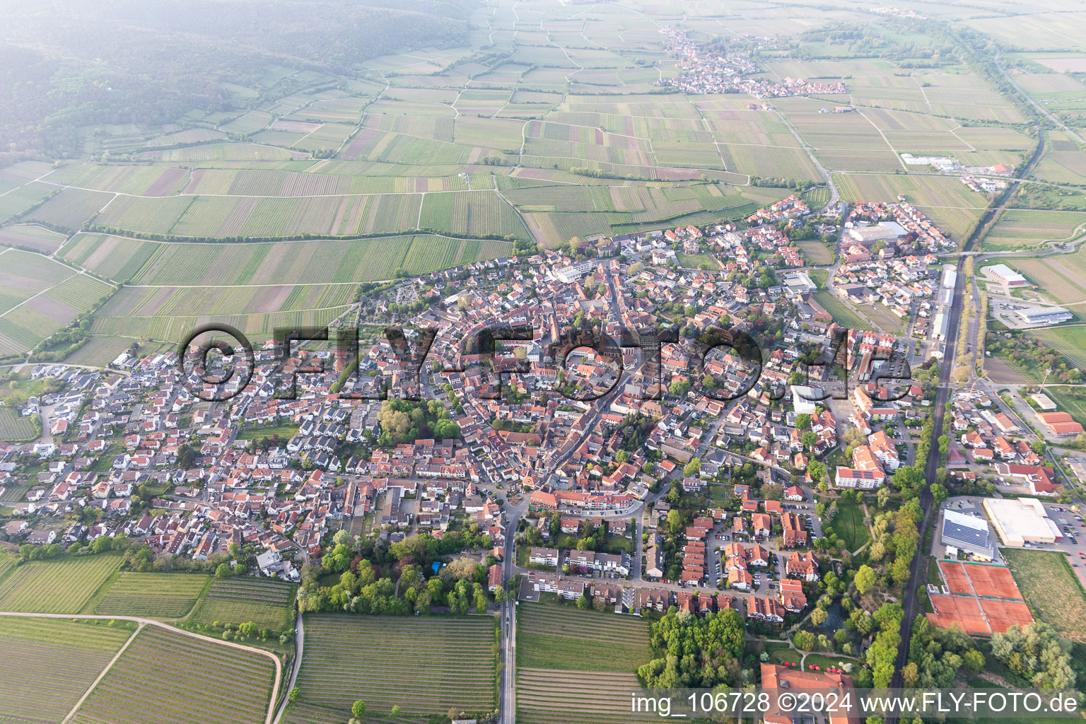 Photographie aérienne de Deidesheim dans le département Rhénanie-Palatinat, Allemagne