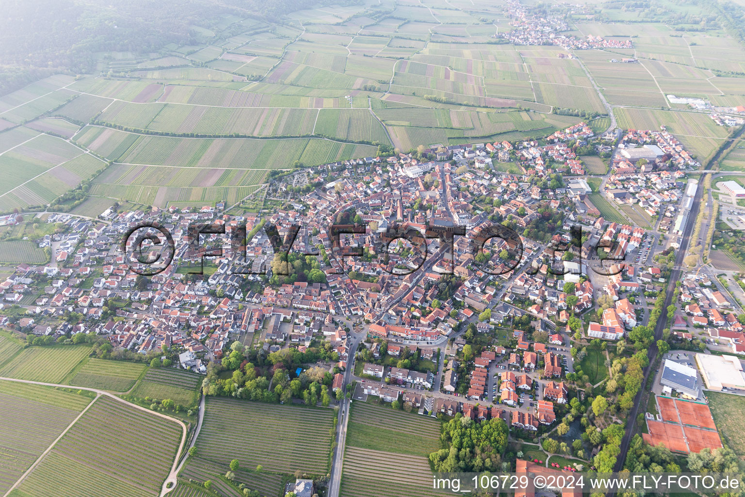 Vue oblique de Deidesheim dans le département Rhénanie-Palatinat, Allemagne